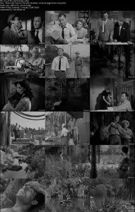 Cry of the Hunted (1953)