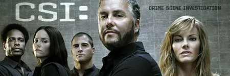 CSI S09E24 (HDTV)