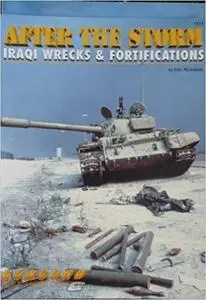 After the Storm: Iraqi Wrecks and Fortifications