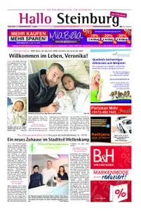 Hallo Steinburg - 02. Januar 2019