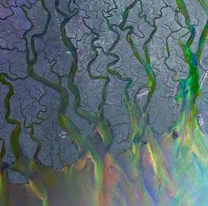 alt-J (∆) - An Awesome Wave (Limited Tour Edition) (2012)