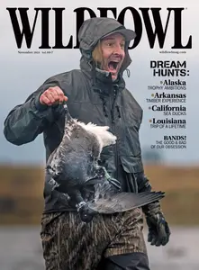 Wildfowl - November 2025