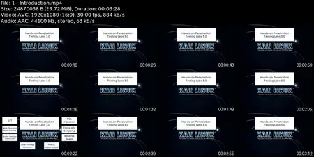 Hands-on Penetration Testing Labs 3.0
