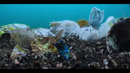 Our Oceans S01E02