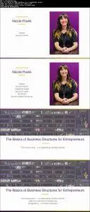 The Basics of Business Structures for Entrepreneurs