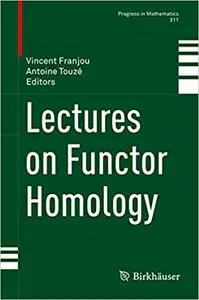 Lectures on Functor Homology (Repost)