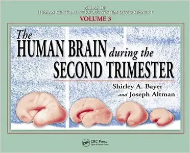 The Human Brain During the Second Trimester (Atlas of Human Central Nervous System Development) (v. 3) by Shirley A. Bayer