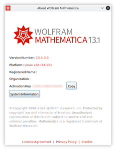 Wolfram Mathematica 13.1.0 Multilingual (Win / macOS / Linux)