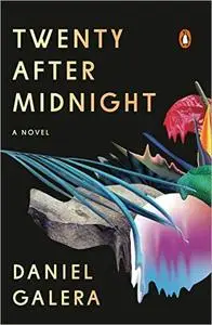 Twenty After Midnight: A Novel