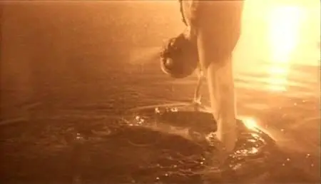 Lars von Trier-Forbrydelsens element (1984)