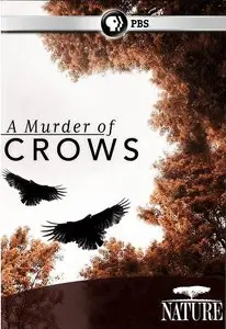 PBS - A Murder of Crows (2010)