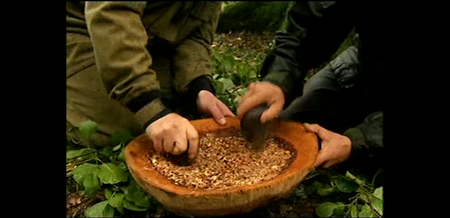 Ray Mears: Wild Food (2009)