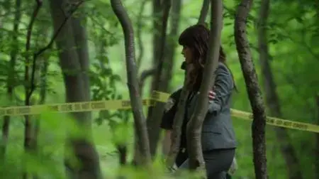 Blue Bloods S06E02