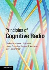 Principles of Cognitive Radio (repost)