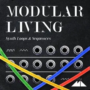 ModeAudio Modular Living WAV