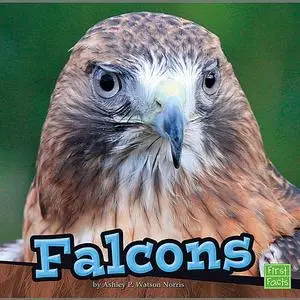 «Falcons» by Ashley Norris