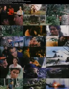 Tiger Joe (1982)