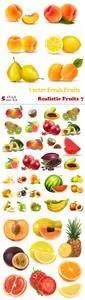 Vectors - Realistic Fruits 7