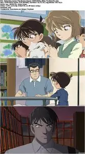 Detective Conan: The Raven Chaser (2009)