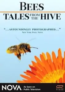 PBS Nova - Bees: Tales from the Hive
