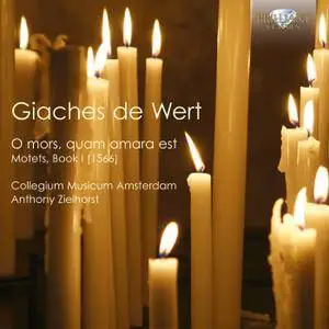 Collegium Musicum Amsterdam, Anthony Zielhorst - Giaches de Wert: Motets, Book I, 1566 (2014)