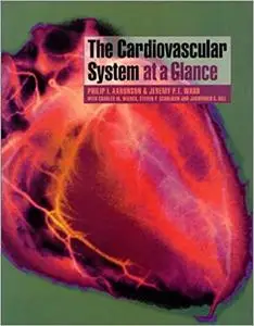 The Cardiovascular System At A Glance
