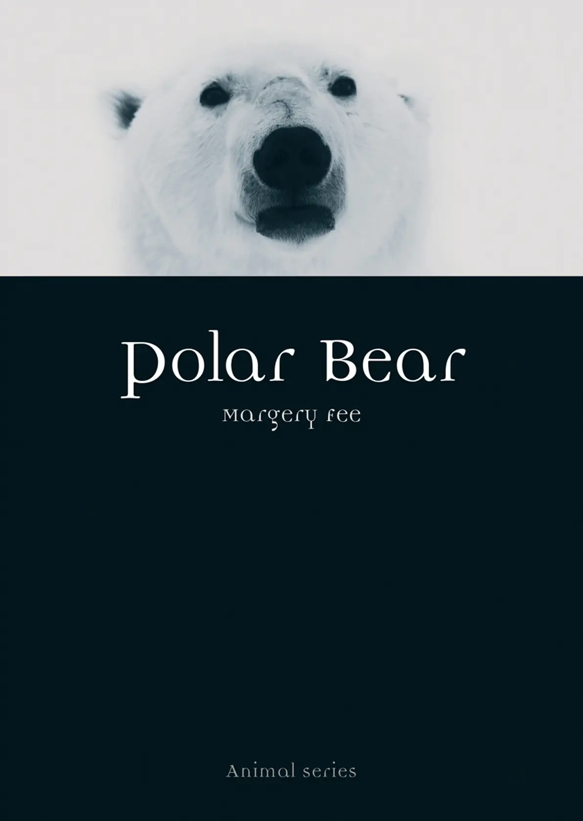 Polar Bear (Animal)