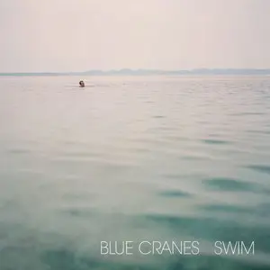 Blue Cranes - Swim (2013)