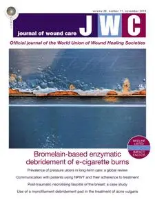 Journal of Wound Care - November 2019