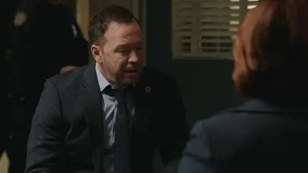 Blue Bloods S09E17