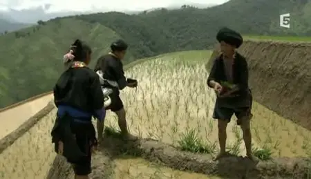 (Fr5) Au pays des rizières suspendues (2011)