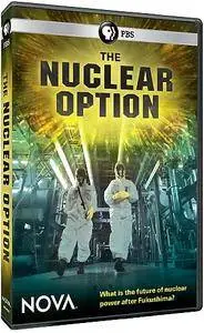PBS - NOVA: The Nuclear Option (2017)