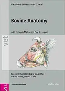 Bovine Anatomy (2nd Edition)