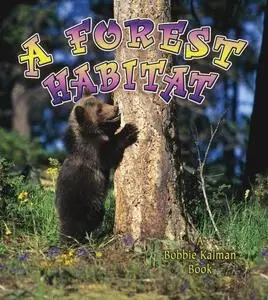 A forest habitat