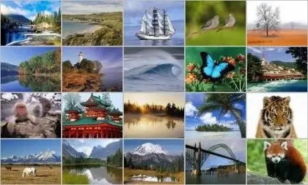 Webshots Premium Wallpapers 2007