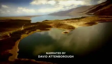 BBC - The Link - Uncovering Our Earliest Ancestor (2009)