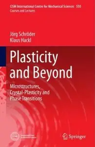 Plasticity and Beyond: Microstructures, Crystal-Plasticity and Phase Transitions [Repost]