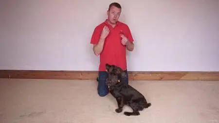 Dog Training for Humans - Clicker Free Trick Training