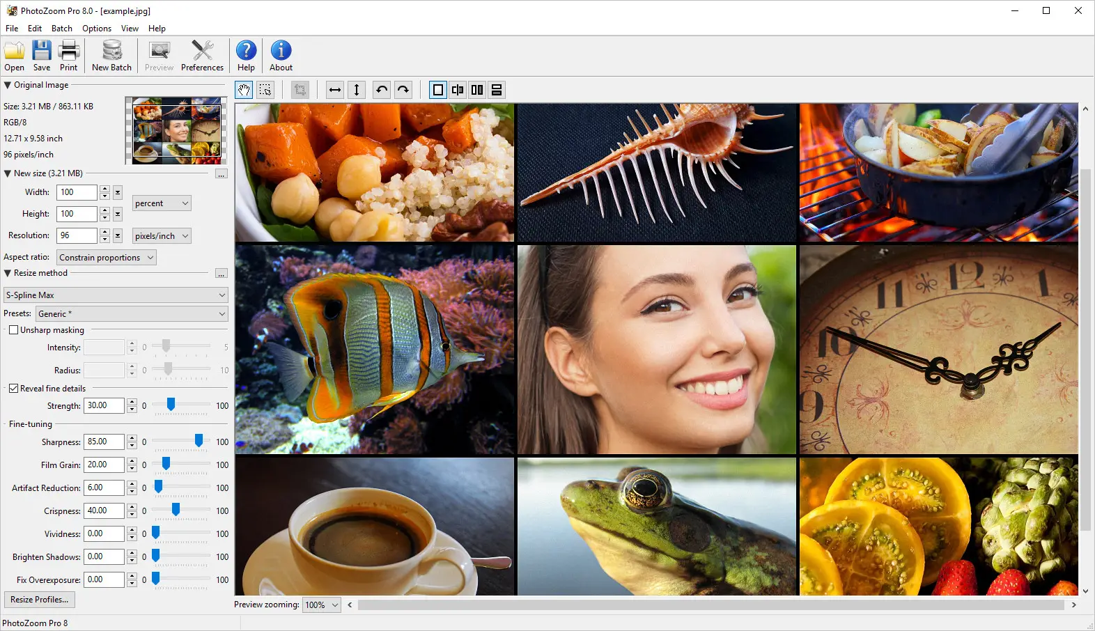 free Benvista PhotoZoom Pro 8.2.0 for iphone instal
