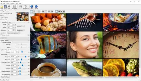 Benvista PhotoZoom Pro 8.0 Multilingual