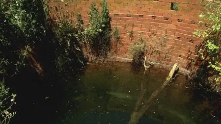 Water Life: Episode 8 - Useful Water / Mundos de agua / Водная жизнь. Серия 8 - Полезная вода (2008)
