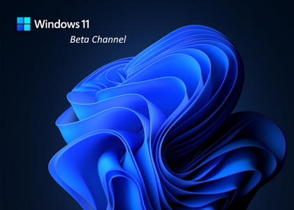 Windows 11 Beta, version 21H2 build 22000.176