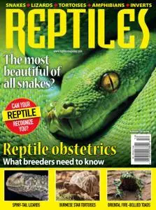Reptiles - November-December 2020