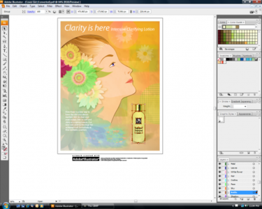 Adobe Illustrator CS5.1 LS4 Western Europe Multilanguage 