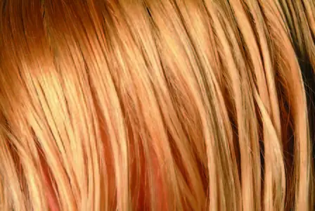 Textures - Hair