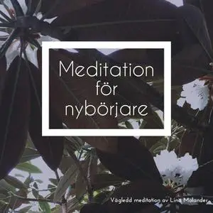 «Meditation för nybörjare» by Lina Molander