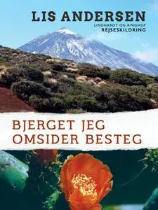 «Bjerget jeg omsider besteg» by Lis Andersen