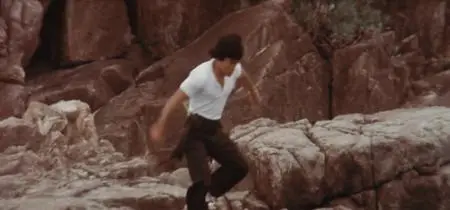 The Clones of Bruce Lee (1981)