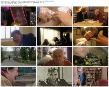 Stephen Fry: The Secret Life of the Manic Depressive (2006)