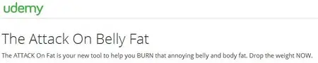 The Attack On Belly Fat